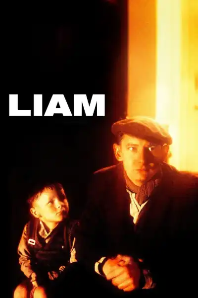 Poster for Liam
