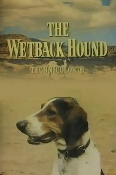 Poster for The Wetback Hound