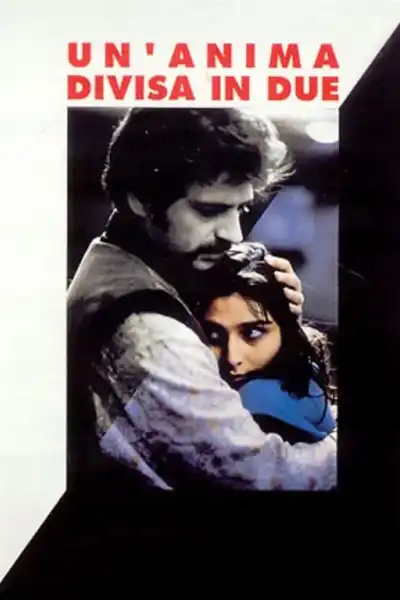 Poster for A Soul Split in Two