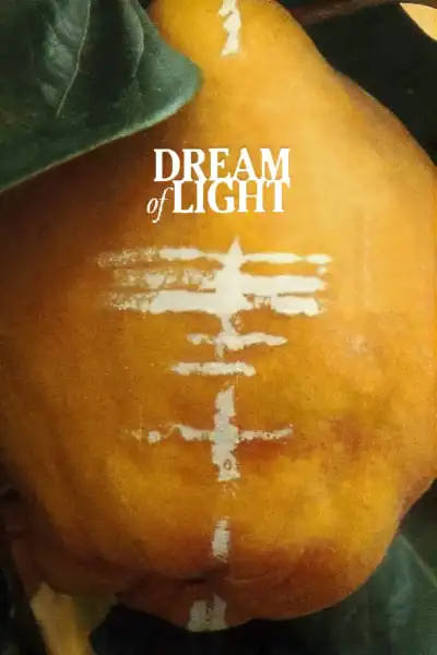 Poster for Dream of Light
