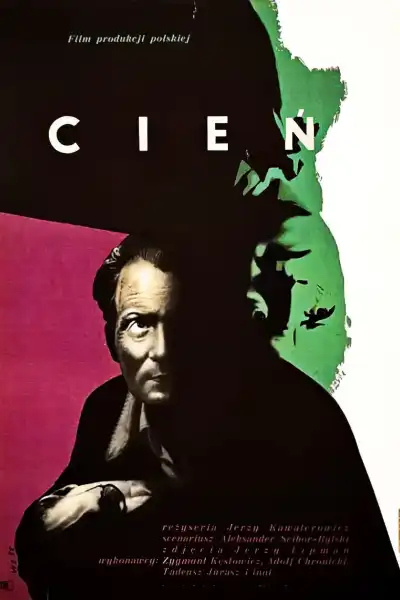 Poster for Shadow