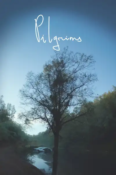 Poster for Pilgrims