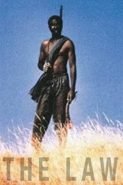 Poster for The Law