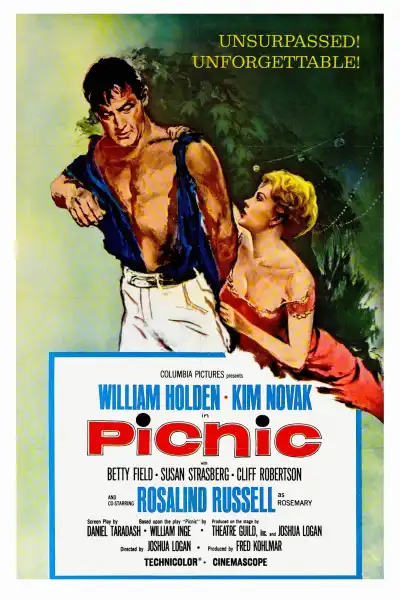Poster for Picnic