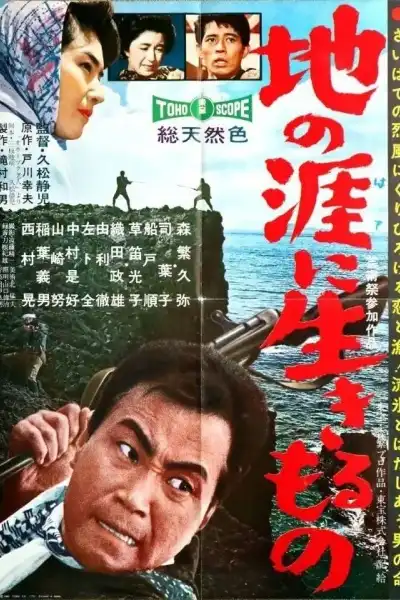 Poster for The Angry Sea