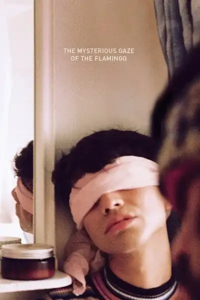 Poster for The Mysterious Gaze of the Flamingo
